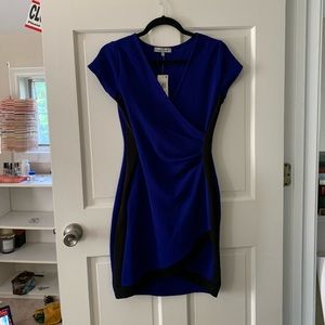 BLUE BODY CON DRESS